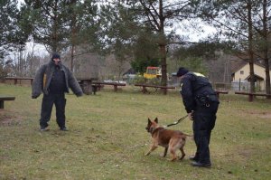 Przewodnik z psem policyjnym - naprzeciwko manekin do treningów psów policyjnych