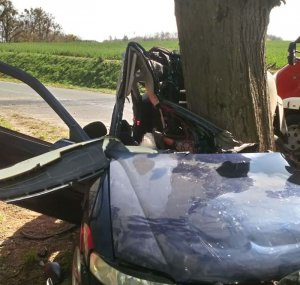 Samochód uderzył w drzewo, wrak na zdjęciu