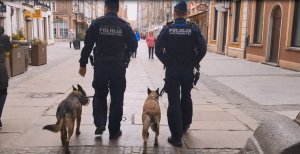 Policjanci w trakcie patrolu z psami służbowymi
