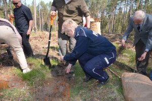 Komendant KPP Wejherowo - sadzi drzewo