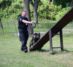 Policjant podczas treningu z psem