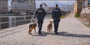 Policjanci podczas patrolu z psem