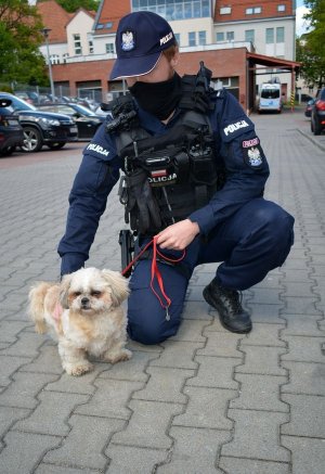 policjanci i pies