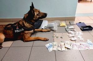 pies do wykrywania narkotyków i zabezpieczone substancje