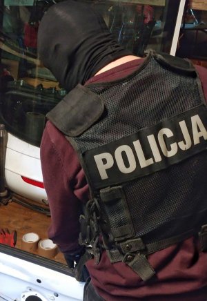 policjanci i samochody