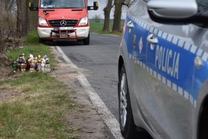 policjanci na drodze