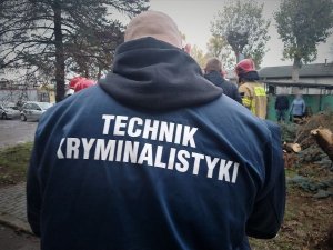 Policjant robi oględziny miejsca wypadku