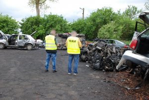 policjanci na miejscu nielegalnej rozbiórki samochodów