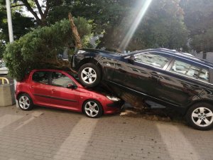 pojazd, który zaparkował na innym pojeździe przez nieuwagę kierowcy