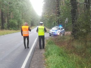 Policjanci na jezdni w tle radiowóz