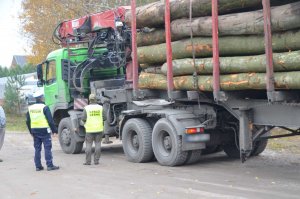 policjanci wspólnie ze strażnikami leśnymi prowadzili działania