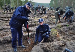 policjanci sadzą drzewa