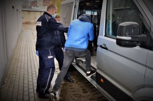 policjant wprowadza do radiowozu zatrzymanego