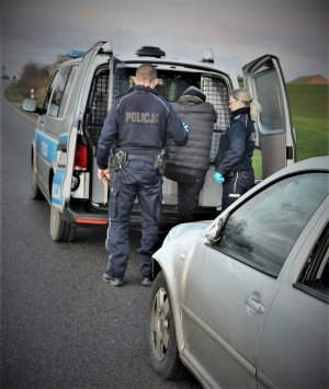 policjanci wprowadzają do radiowozu zatrzymanego mężczyznę