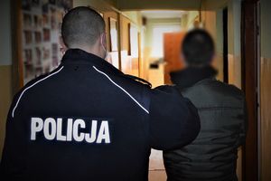 policjanci prowadzą zatrzymanych