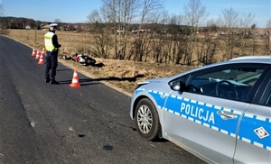 policjanci pracują na miejscu kolizji