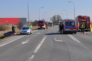 policjanci na miejscach wypadków