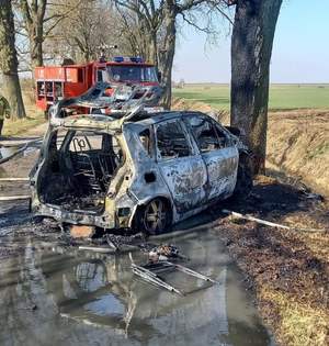 wypadek śmiertelny, spłonął pojazd po uderzeniu w drzewo