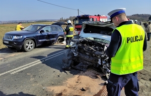 policjant prowadzi oględziny pojazdu