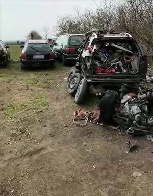 policjanci podczas wspólnych działań