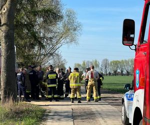 Działania funkcjonariuszy w trakcie poszukiwań