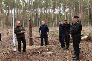 policjanci podczas akcji sadzenia lasu