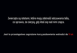 plansze poglądowe i pies wobec, którego interweniowali policjanci