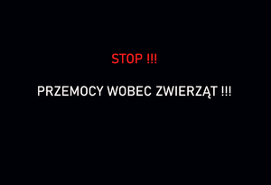 plansze poglądowe i pies wobec, którego interweniowali policjanci