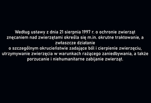 plansze poglądowe i pies wobec, którego interweniowali policjanci