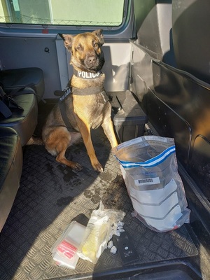 policyjny pies wykrył narkotyki