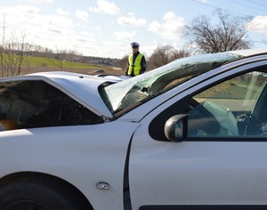 policjanci pracujący przy zdarzeniu drogowym