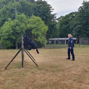 Przewodnik psa i jego pies, który przeskakuje przeszkode