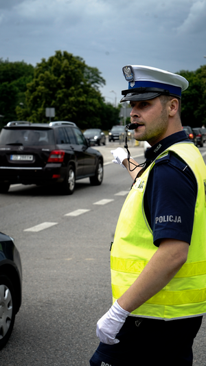 policjanci zabezpieczają Opener Festival