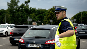 policjanci zabezpieczają Opener Festival