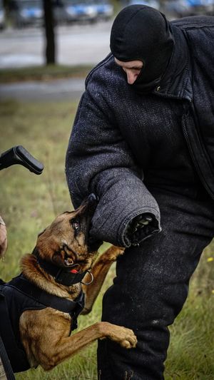 Policjanci z psem podczas ćwiczeń