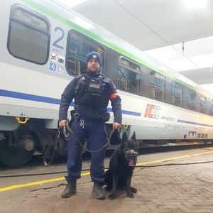 policyjni przewodnicy psów służbowych podczas szkolenia