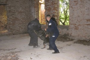 Policjanci podczas szkolenia