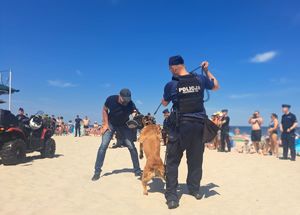 Policjanci podczas szkolenia na plaży