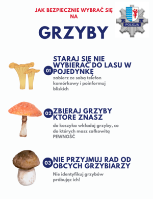 grafika dotycząca bezpieczeństwa podczas grzybobrania