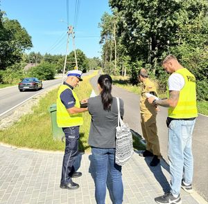 komisja badania wypadków