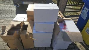 zabezpieczona kontrabanda