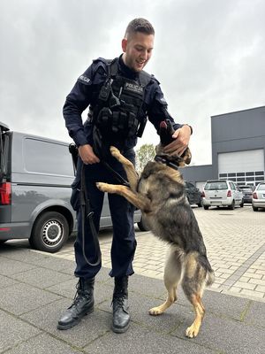 Nowi czworonożni funkcjonariusze