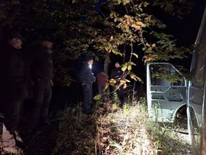 kradli drewno z lasu zostali zatrzymani