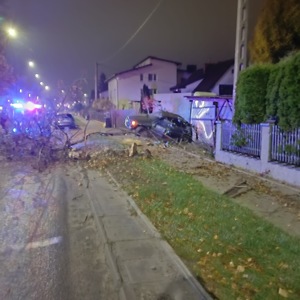 pojazd 20-latka po uderzeniu w drzewo i ogrodzenie posesji