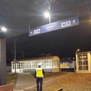 policjanci kontrolują dworce i ogródki działkowe