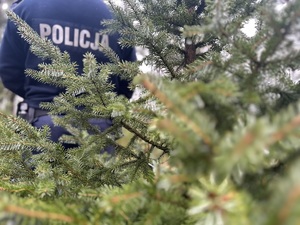 policjant na tle choinki