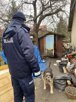 policjanci podczas kontroli