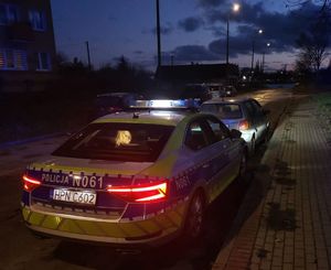 pojazdy zatrzymywanie do kontroli drogowych