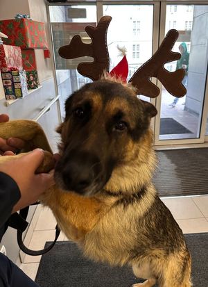 policjanci z wizytą w szpitalu