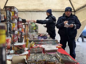 policjanci podczas kontroli